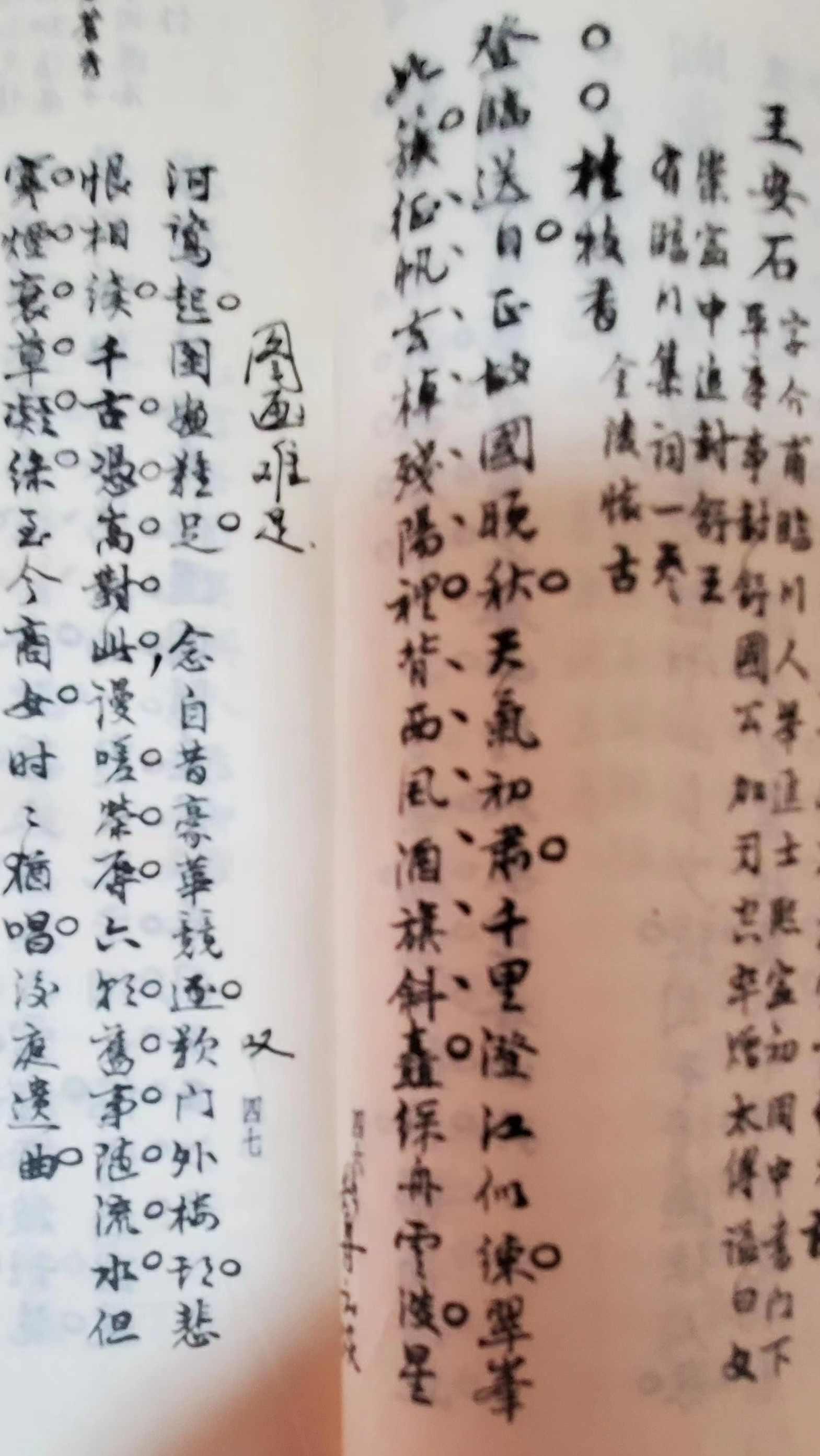 王安石《桂枝香》