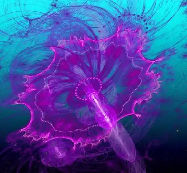 ˮĸ���ͺ�ˮһ��