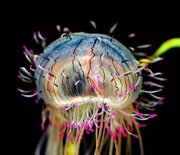 ˮĸ���o�X��|��