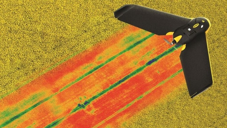 Parrot�t��o�˙C(j��)